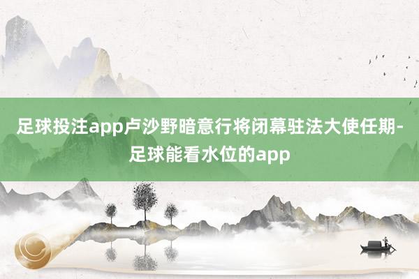 足球投注app卢沙野暗意行将闭幕驻法大使任期-足球能看水位的app