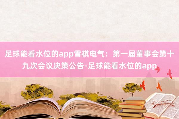 足球能看水位的app雪祺电气：第一届董事会第十九次会议决策公告-足球能看水位的app