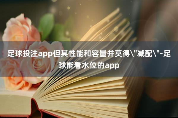 足球投注app但其性能和容量并莫得＂减配＂-足球能看水位的app