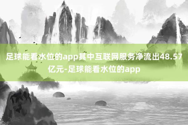 足球能看水位的app其中互联网服务净流出48.57亿元-足球能看水位的app