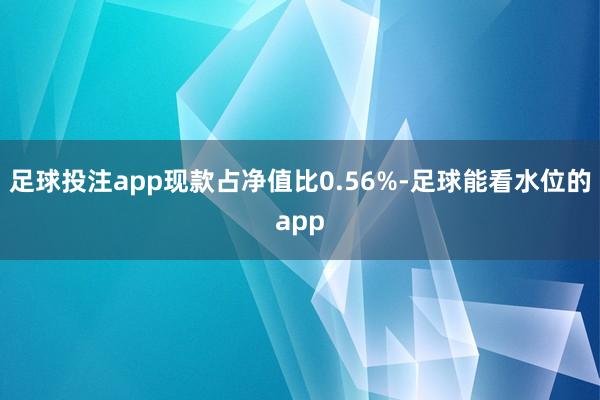 足球投注app现款占净值比0.56%-足球能看水位的app