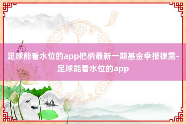 足球能看水位的app把柄最新一期基金季报裸露-足球能看水位的app