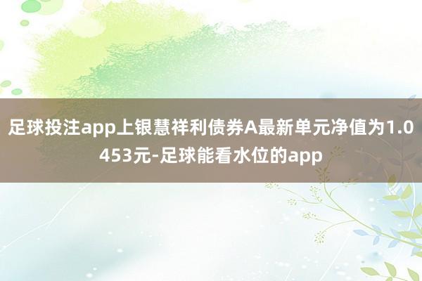 足球投注app上银慧祥利债券A最新单元净值为1.0453元-足球能看水位的app