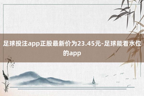 足球投注app正股最新价为23.45元-足球能看水位的app