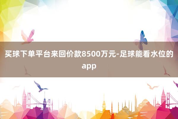 买球下单平台来回价款8500万元-足球能看水位的app