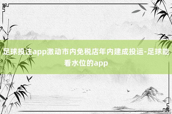足球投注app激动市内免税店年内建成投运-足球能看水位的app