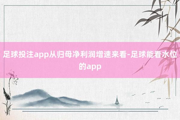 足球投注app从归母净利润增速来看-足球能看水位的app