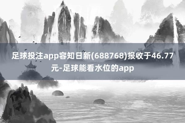 足球投注app容知日新(688768)报收于46.77元-足球能看水位的app