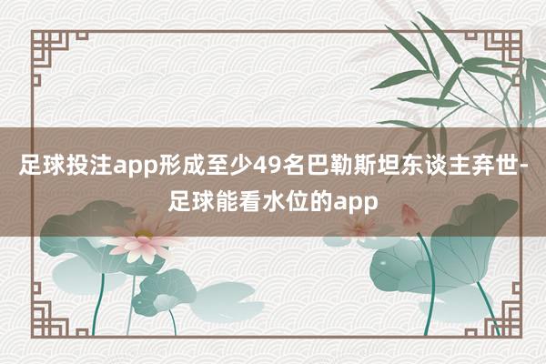 足球投注app形成至少49名巴勒斯坦东谈主弃世-足球能看水位的app