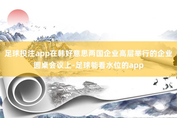 足球投注app在韩好意思两国企业高层举行的企业圆桌会议上-足球能看水位的app