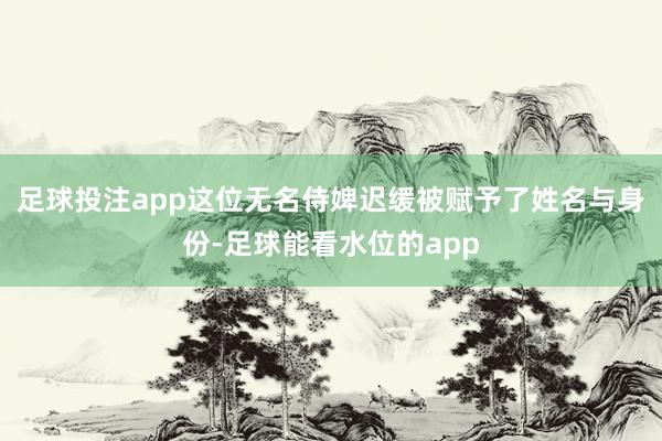 足球投注app这位无名侍婢迟缓被赋予了姓名与身份-足球能看水位的app