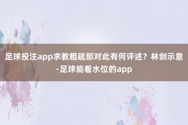 足球投注app求教粗疏部对此有何评述？　　林剑示意-足球能看水位的app
