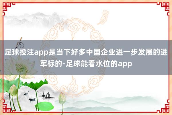 足球投注app是当下好多中国企业进一步发展的进军标的-足球能看水位的app